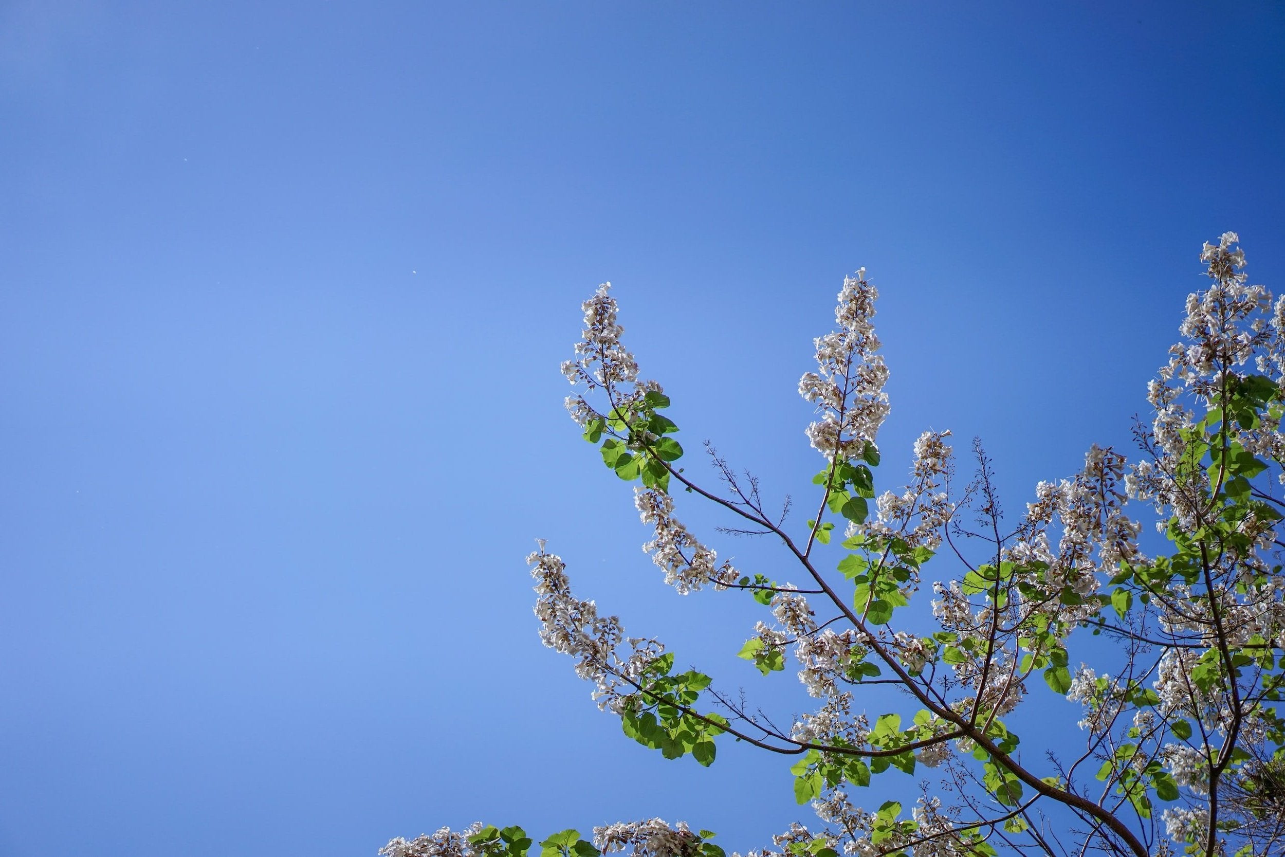 slider image slider_item_PHJm3G